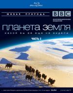 Blu-ray / BBC:   / Planet Earth