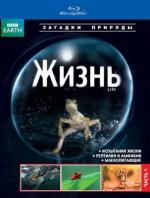 Blu-ray / BBC:  / Life
