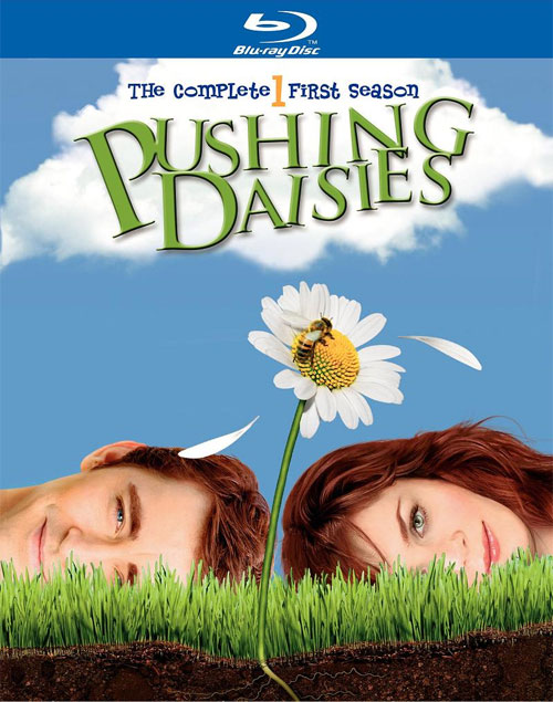 Blu-ray /    / Pushing Daisies