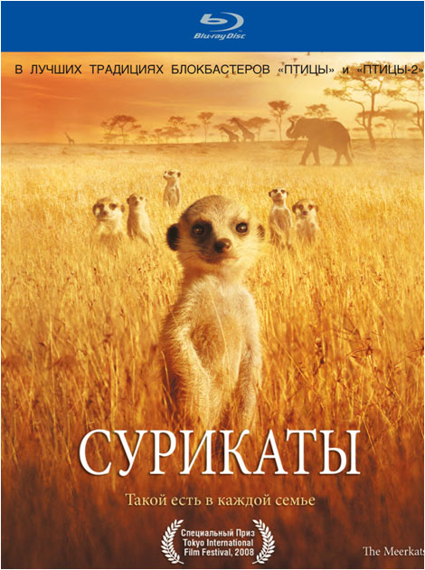 Blu-ray /  / The Meerkats