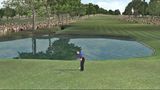      2007 / Tiger Woods PGA Tour 07 / 2007
