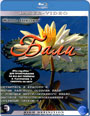 Blu-ray /  / Living Landscape: Bali