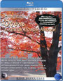 Blu-ray /      / Living Landscapes: Fall in New England