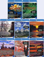 Blu-ray /  :   / Living Landscapes: Set